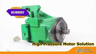 AL166637 大象25秒版