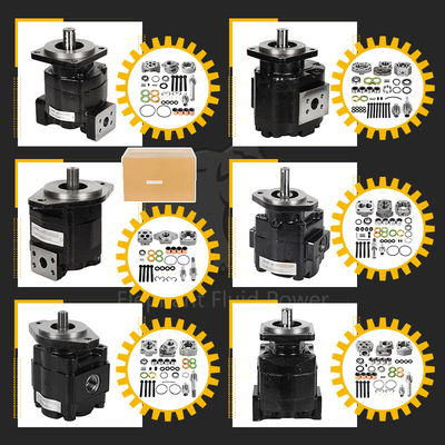 Parker Cast Iron Pump Hp051a578beoh1511 Hydraulic Pump And Spare Parts In Stock