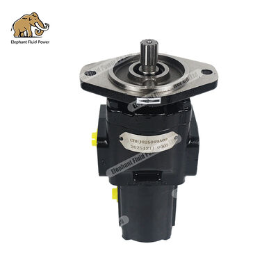 CBHJG25019A09 high-pressure gear hydraulic pump